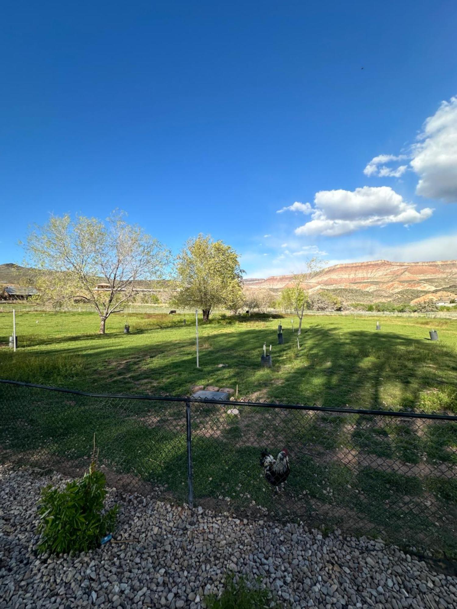 Villa Copper Creek Farm Toquerville Exterior foto